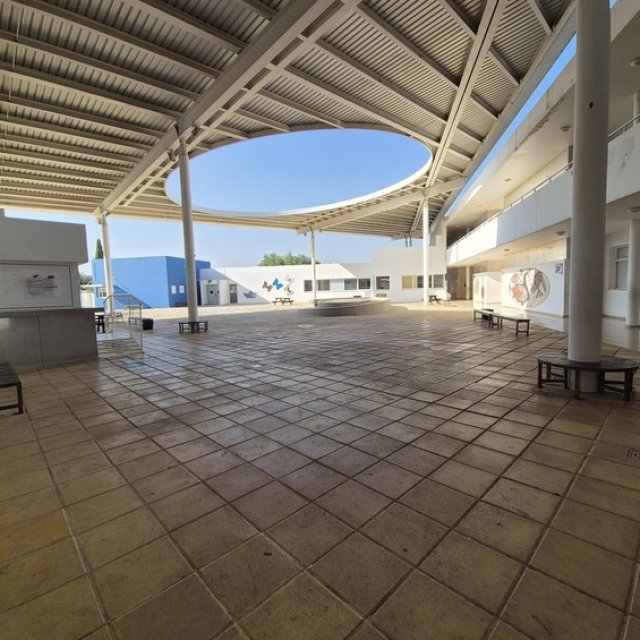 Κεντρική αυλή